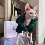 Cat Christmas Sweater for Cat | Coat for Cat-Black Green Fur Coat