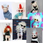 Cat Wig | Cat Apparel, Cat Wearing Clothes, Wigs, Sphynx Cat Funny Wig