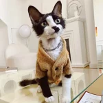 Winter Coats for Kittens - Autumn Winter Warm Cardigan