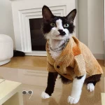 Winter Coats for Kittens - Autumn Winter Warm Cardigan