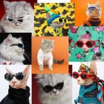 Cat Glasses | Cat Apparel, Cat Funny Accessories, High-Quality
