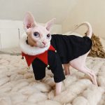 Christmas Outfit for Cat-Sphynx wears red bib