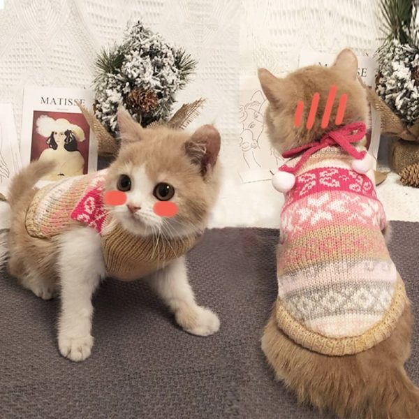 Christmas Cat Sweaters-Cat wears sweaters