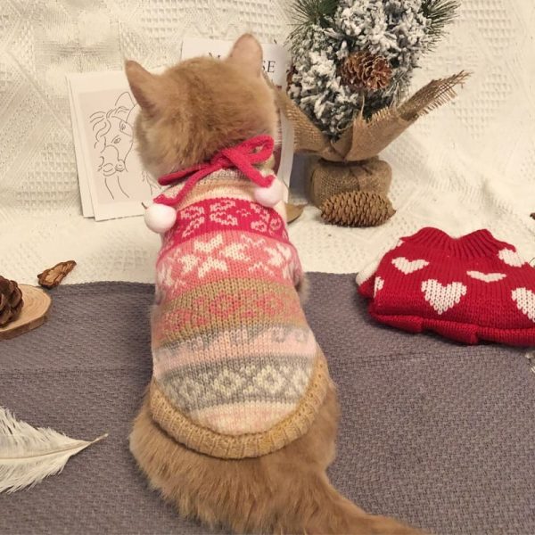 Chandails de Noël pour chats - Le chat porte des chandails