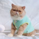 Cat Coat Vest | Cat Apparel, Cat in Clothes, Vest Button Cardigan