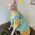 Chaleco Abrigo Gato | Ropa de Gato, Gato en Ropa, Chaleco Cardigan de Botones
