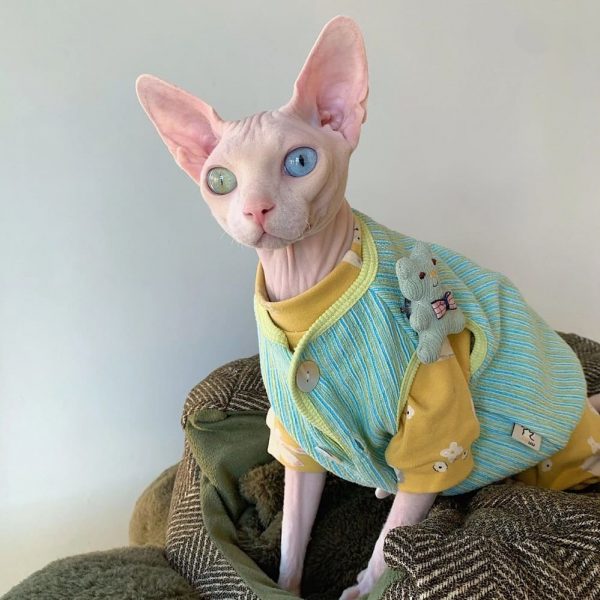 猫コートベスト｜猫アパレル、服を着た猫、ベストボタンカーディガン