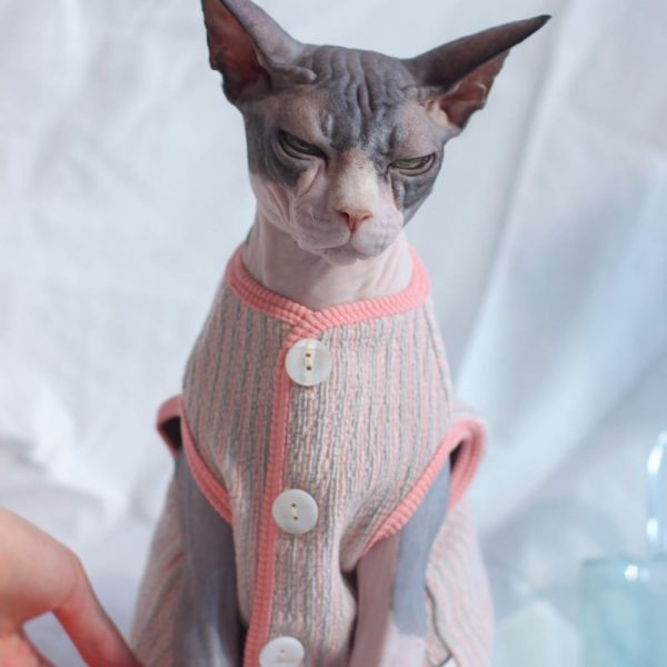 Cat Coat Vest | Cat Apparel, Cat in Clothes, Vest Button Cardigan