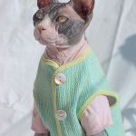 Chaleco Abrigo Gato | Ropa de Gato, Gato en Ropa, Chaleco Cardigan de Botones