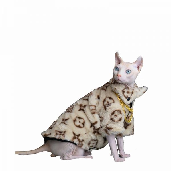 Beautiful Winter Sphynx Cat Hairless Cats Wearing Coat in Snow 