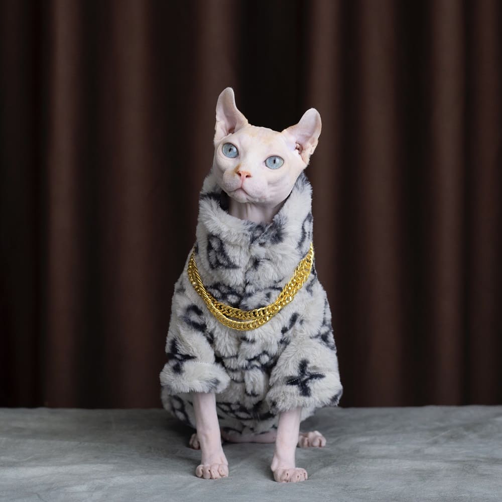 Abrigo para Gatos | Abrigo para Gatos Louis Vuitton, Abrigo para Gatos Louis Vuitton ?