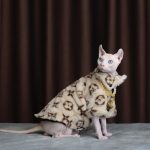 Manteau pour chats | Louis Vuitton Cat Jacket, Louis Vuitton Cat Coat ?