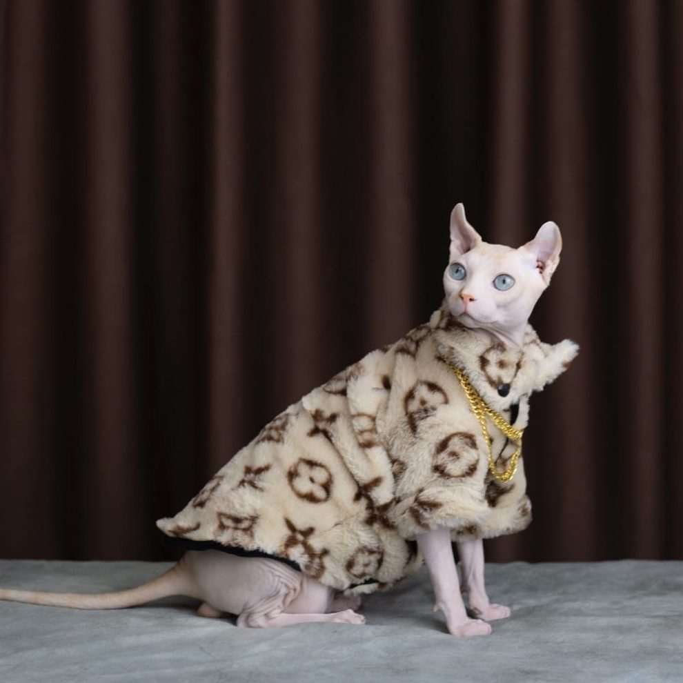 Coat for Cats Louis Vuitton Cat Jacket, Louis Vuitton Cat Coat