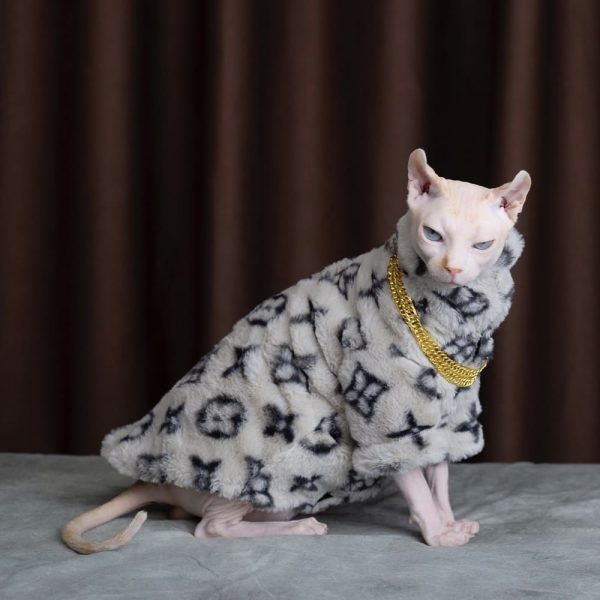 Manteau pour chats | Louis Vuitton Cat Jacket, Louis Vuitton Cat Coat ?
