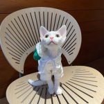 猫用DIYパーカー｜子猫用パーカー、パーカーを着た猫、猫用パーカー