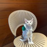 Diy Hoodie for Cat | Kitten Hoodie, Cat in Hoodie, Hoodies for cats