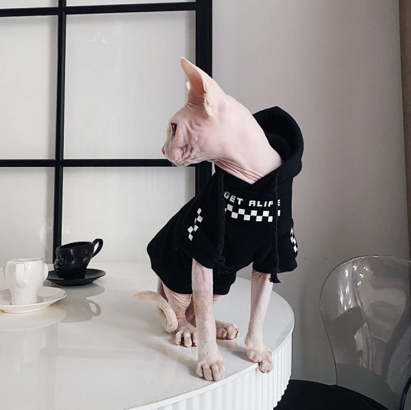 Pet Hoodies for Cats | Kitten Sweatshirt, Cat in Black Fashion Hoodie