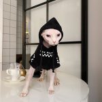 Pet Hoodies for Cats | Kitten Sweatshirt, Cat in Black Fashion Hoodie