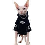 Pet Hoodies for Cats | Kitten Sweatshirt, Cat in Black Fashion Hoodie