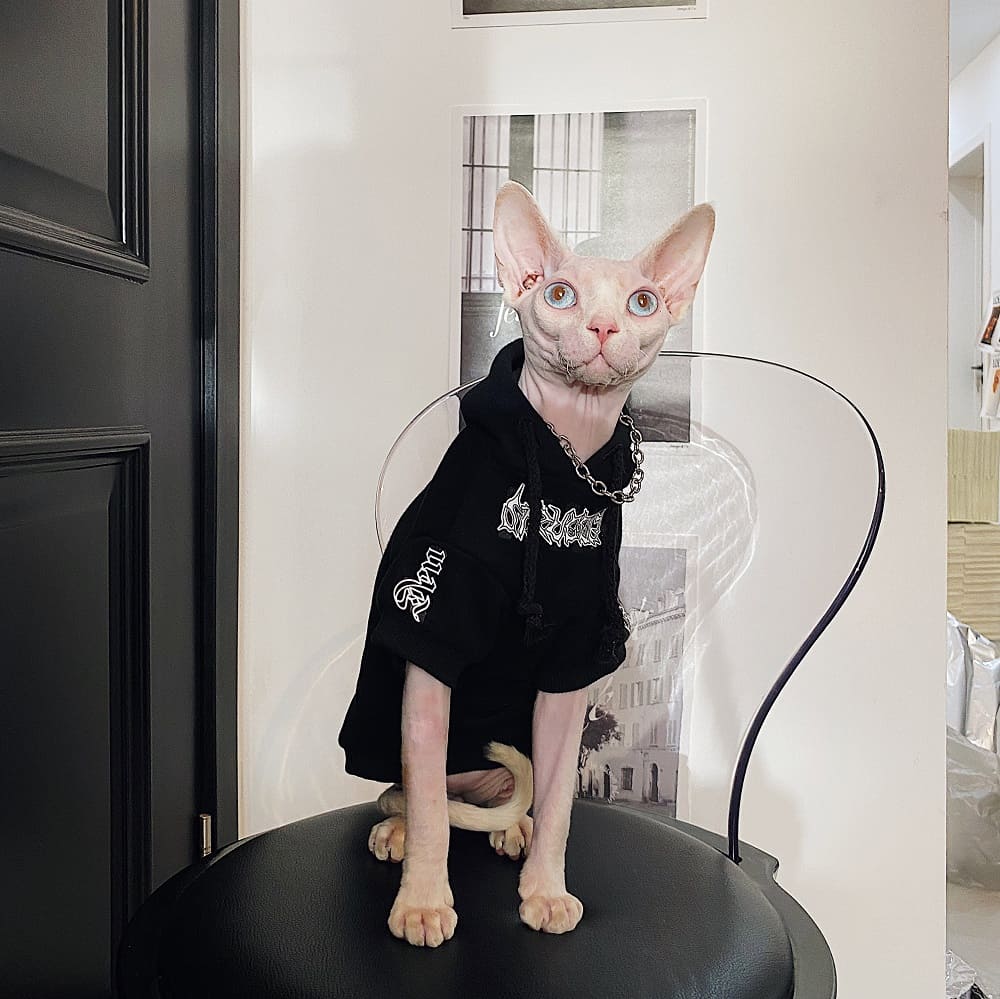 猫用ペットパーカー｜子猫用スウェット、黒衣猫ファッションパーカー