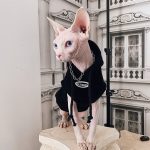 Pet Hoodies for Cats | Kitten Sweatshirt, Cat in Black Fashion Hoodie