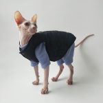 Cat Surgery Suit | Onesies for Cats, Cat Surgery Suit, Four-legged