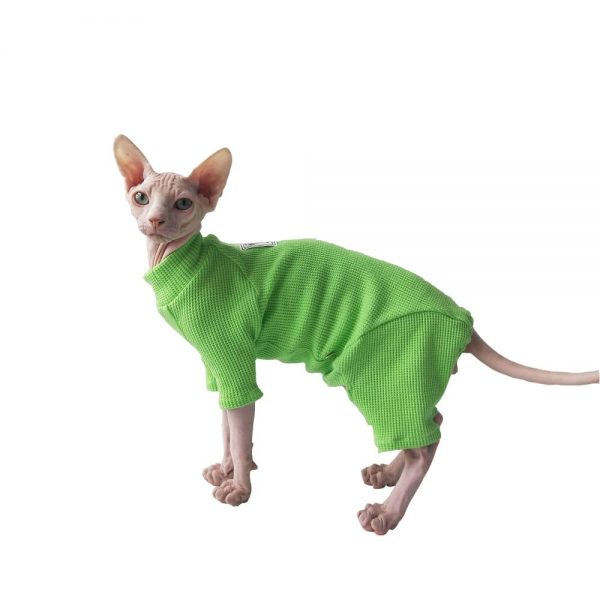 Cat Surgery Suit | Onesies for Cats, Cat Surgery Suit, Four-legged