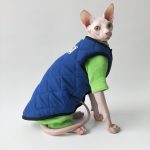 Cat Surgery Suit | Onesies for Cats, Cat Surgery Suit, Four-legged