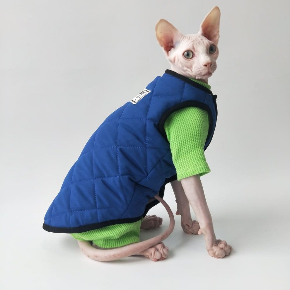 Cat Surgery Suit Onesies for Cats, Cat Surgery Suit, Fourlegged