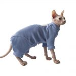Cat Surgery Suit | Onesies for Cats, Cat Surgery Suit, Four-legged