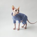Cat Surgery Suit | Onesies for Cats, Cat Surgery Suit, Four-legged