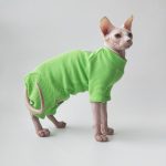 Cat Surgery Suit | Onesies for Cats, Cat Surgery Suit, Four-legged