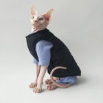 Cat Surgery Suit | Onesies for Cats, Cat Surgery Suit, Four-legged