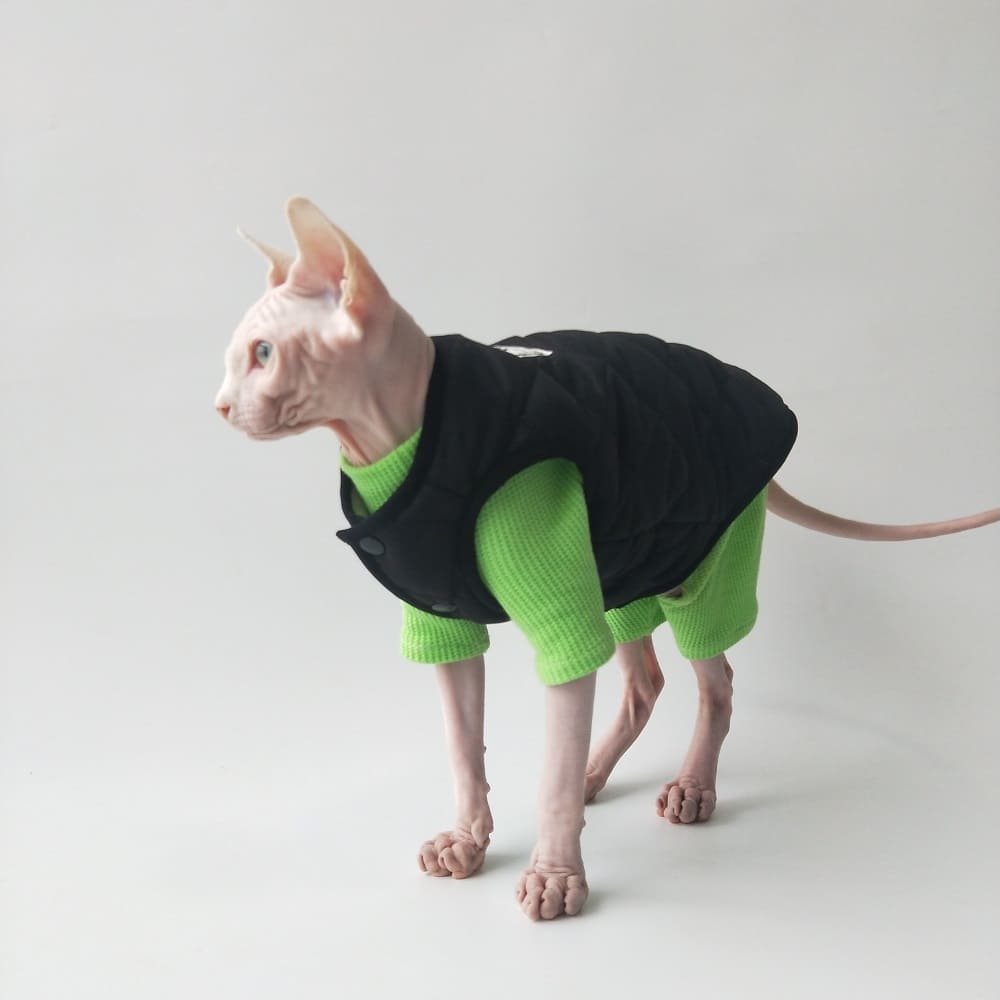 Cat Surgery Suit | Onesies for Cats, Cat Surgery Suit, Four-legged