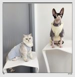 Cat Onesies for Cats | Onesies for Cats, Cat Surgery Suit, Four-legged