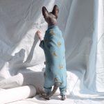 Onesies for Cats after Surgery | Onesies for Kittens, Cat Surgery Suit