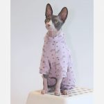 Onesies for Cats after Surgery | Onesies for Kittens, Cat Surgery Suit