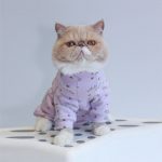 Onesies for Cats after Surgery | Onesies for Kittens, Cat Surgery Suit