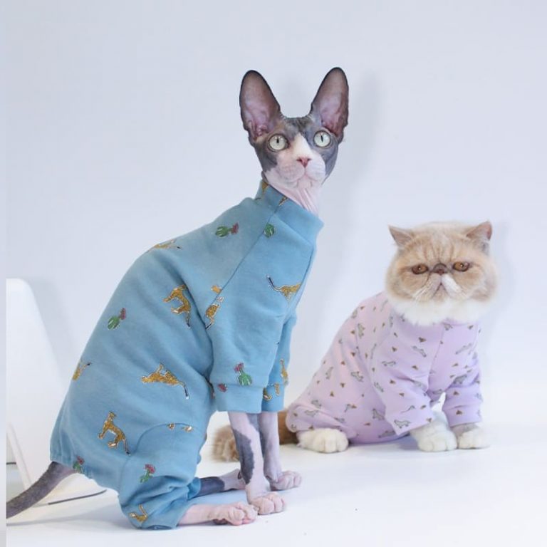 Onesies for Cats after Surgery Onesies for Kittens, Cat Surgery Suit