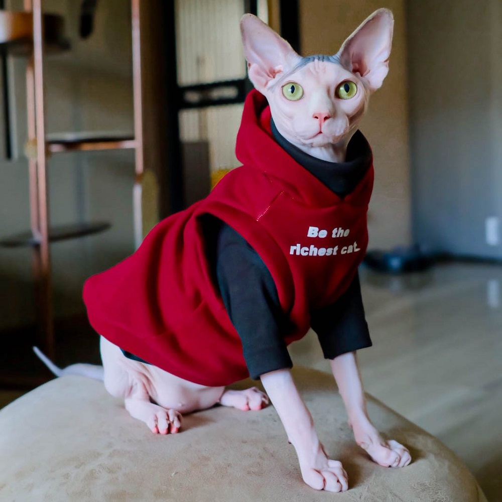 Cat Hoodies for Cats | Kitten Sweatshirt, Cat in Sleeveless Hoodie