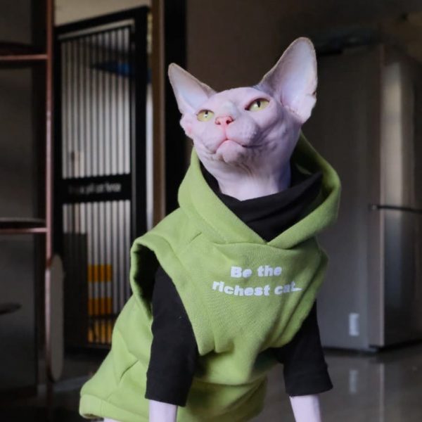 Cat Hoodies for Cats | Kitten Sweatshirt, Cat in Sleeveless Hoodie