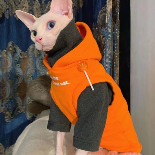 Cat Hoodies for Cats | Kitten Sweatshirt, Cat in Sleeveless Hoodie