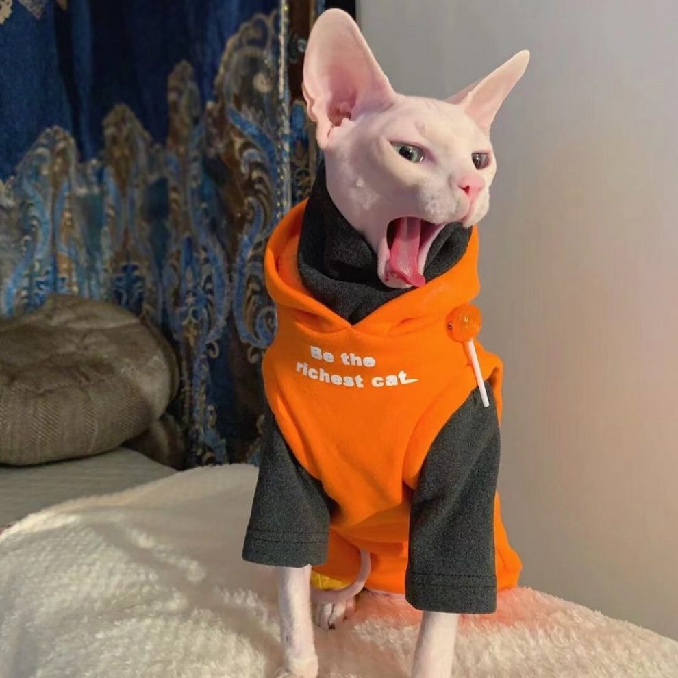 Cat Hoodies for Cats Kitten Sweatshirt, Cat in Sleeveless Hoodie