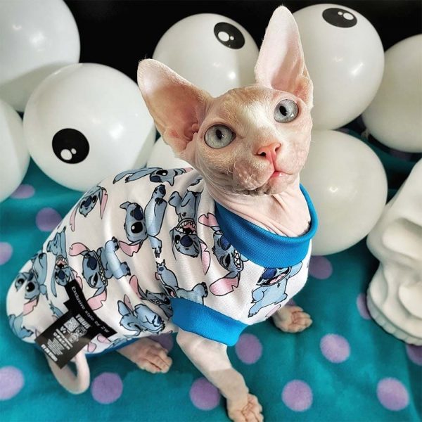 Shirts for Sphynx Cats-Sphynx wears Stitch shirt