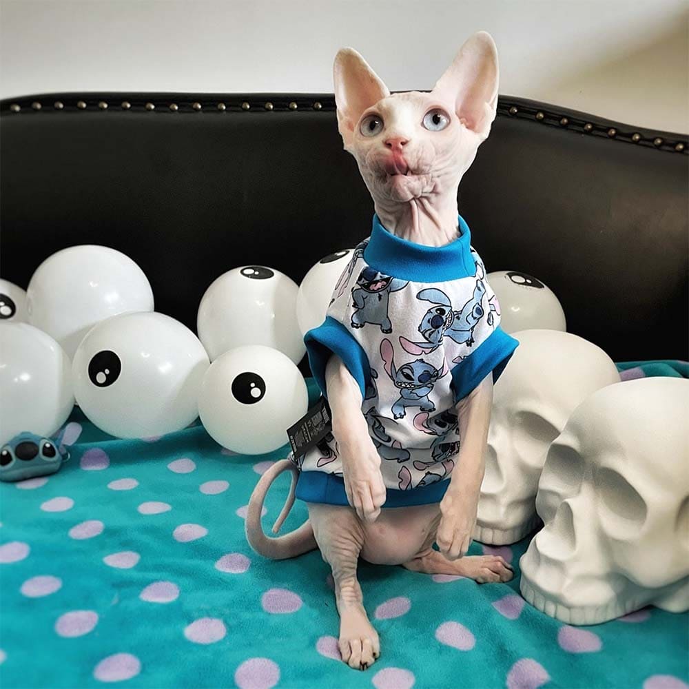 Cat Stitch Shirt | Sphynx Cat Shirt, Cat in Shirt, Cat in Clothes, Cat Apparel