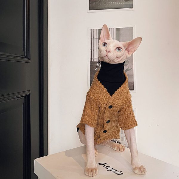 Sweaters for Cats | Hairless Cats Wearing Sweaters, Sweater with Kittens