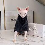 猫用セーター｜毛のない猫がセーターを着る、子猫と一緒にセーターを着る