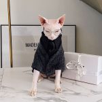 Sweaters for Cats | Hairless Cats Wearing Sweaters, Sweater with Kittens