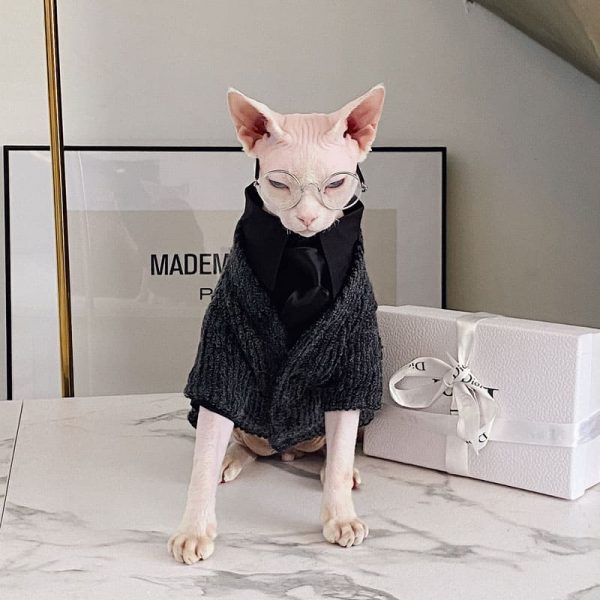 Pretty, fancy, fashionable Sphynx Cat sweater