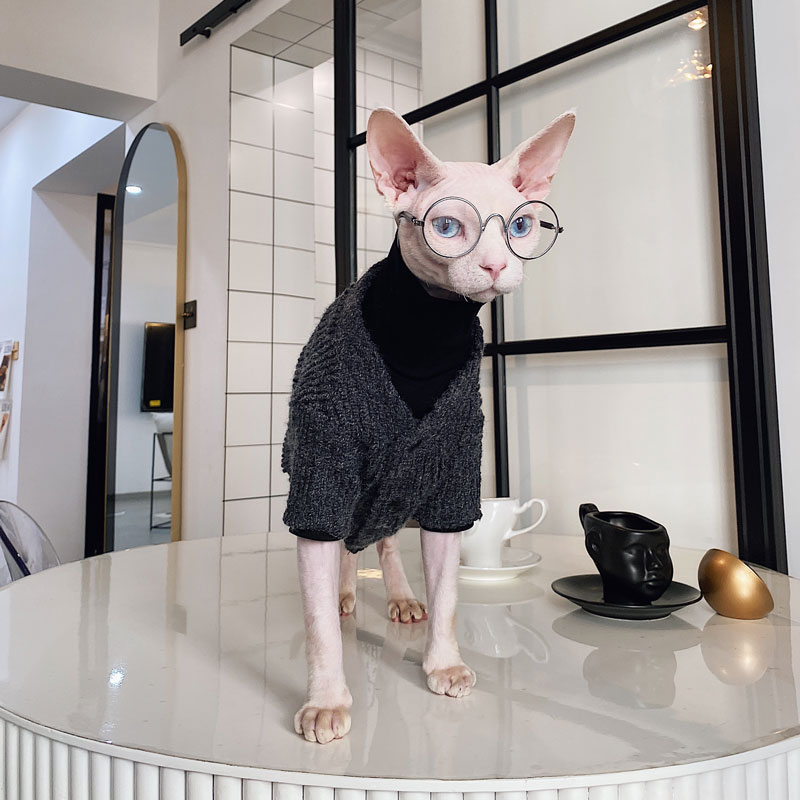 Sweaters for Cats | Hairless Cats Wearing Sweaters, Sweater with Kittens